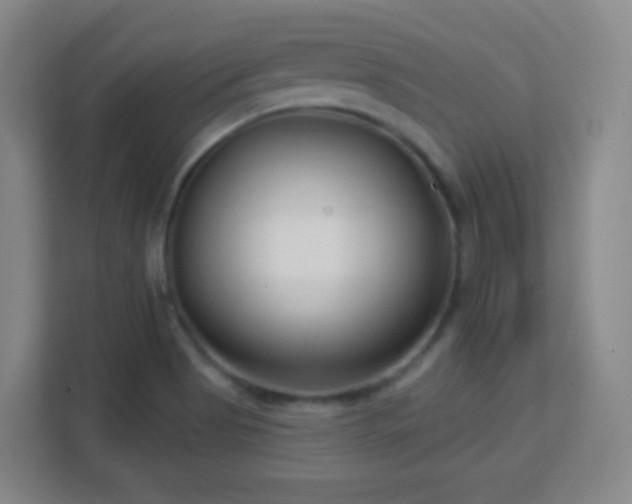 X0000113161513200909111004