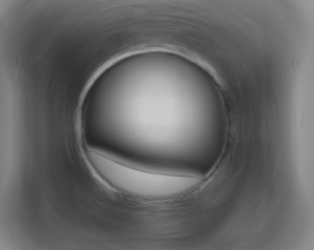 X0000113161516200909111004