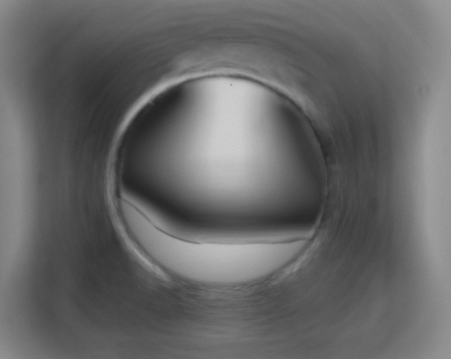 X0000113161518200909111004