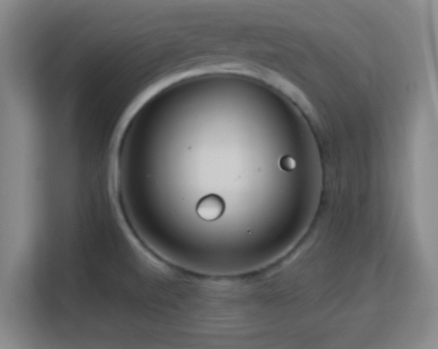 X0000113161520200909111004