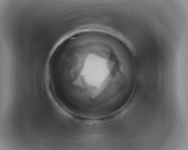 X0000113161522200909111004