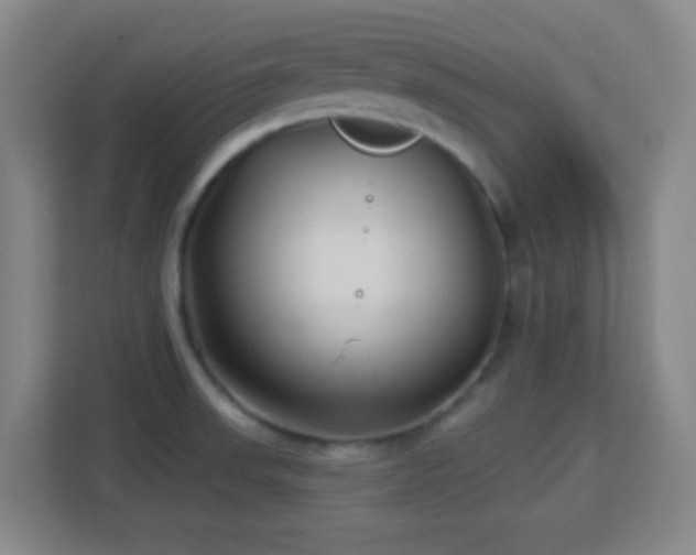 X0000113161523200909111004