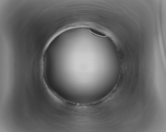 X0000113161524200909111004