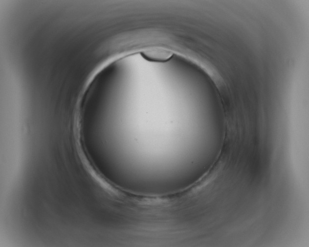 X0000113161526200909111004