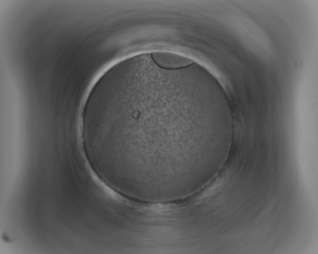 X0000113161527200909111004