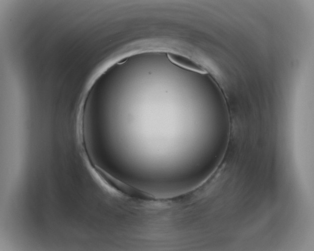 X0000113161528200909111004