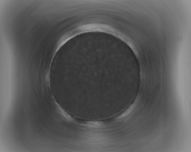 X0000113161529200909111004