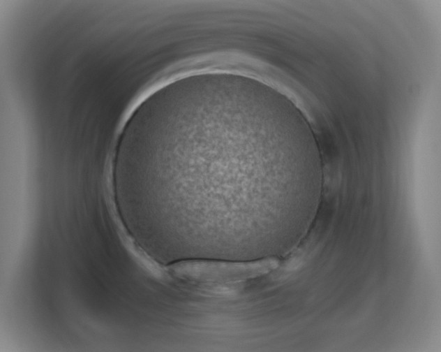 X0000113161530200909111004