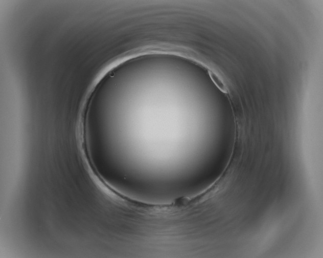 X0000113161531200909111004