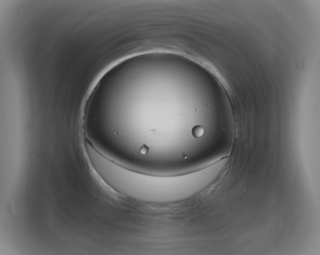 X0000113161532200909111004