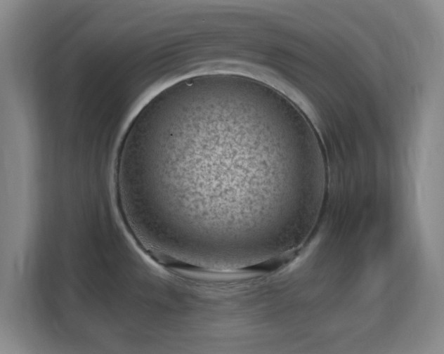 X0000113161533200909111004