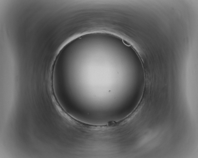 X0000113161534200909111004