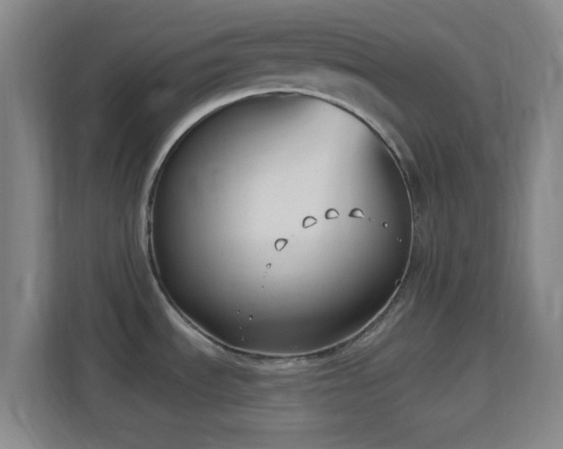 X0000113161535200909111004