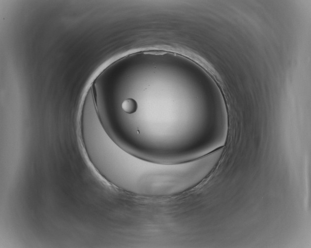 X0000113161536200909111004