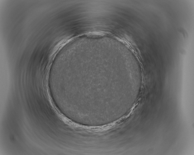 X0000113160001200909181820