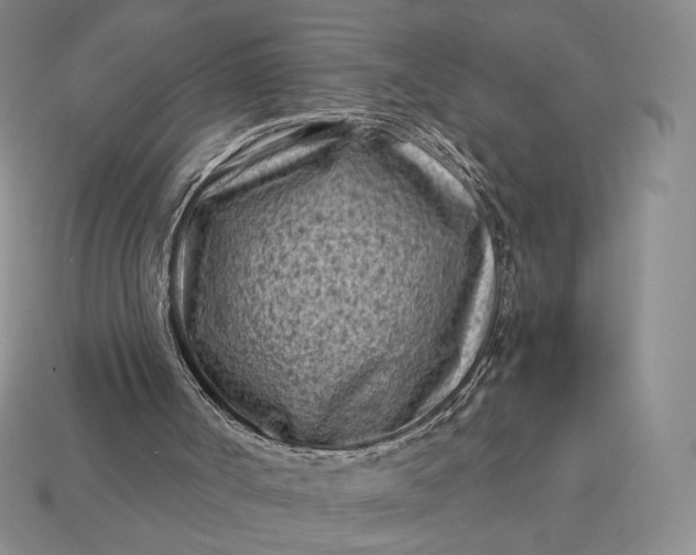 X0000113160002200909181820