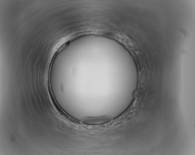 X0000113160003200909181820