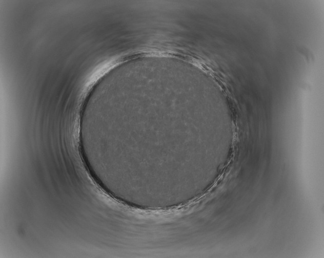 X0000113160005200909181820