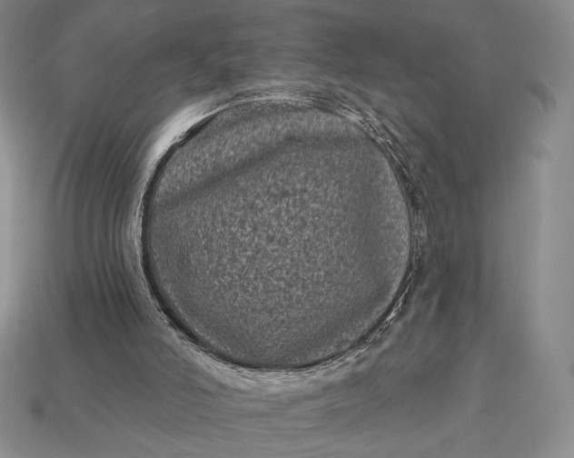 X0000113160006200909181820