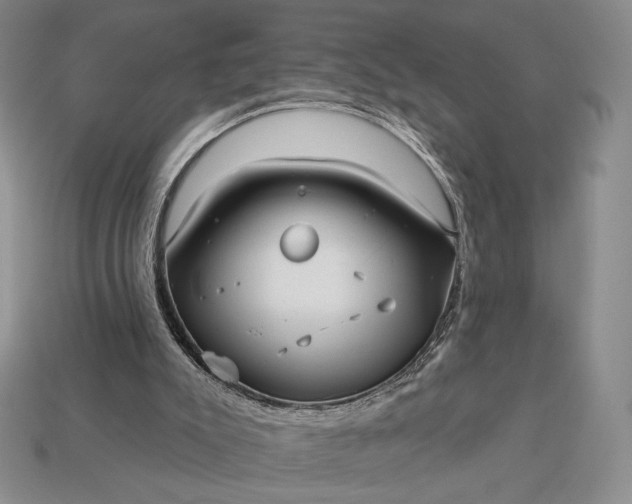 X0000113160007200909181820