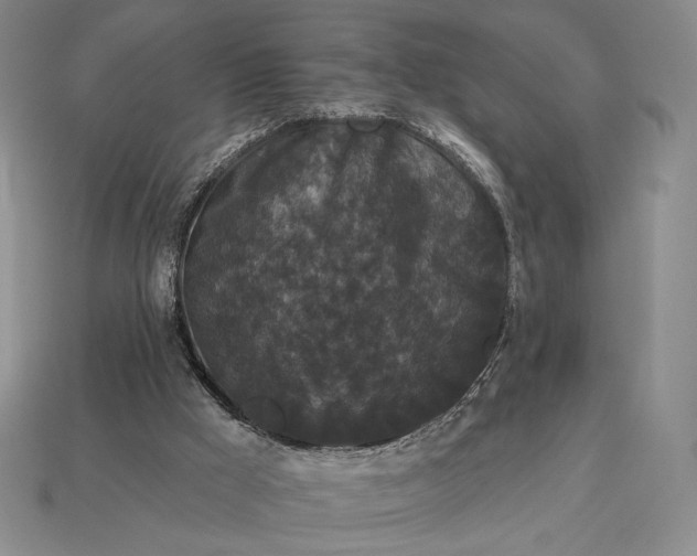 X0000113160009200909181820