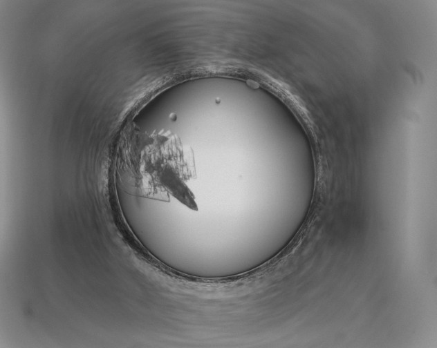 X0000113160010200909181820