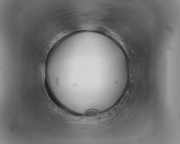 X0000113160011200909181820