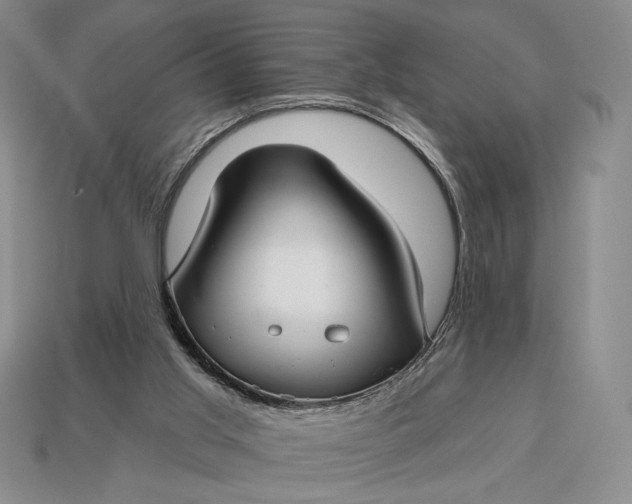 X0000113160013200909181820