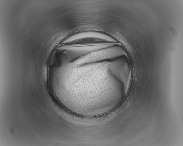 X0000113160014200909181820