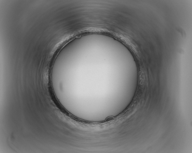 X0000113160015200909181820