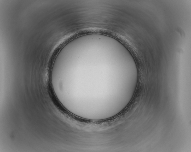 X0000113160016200909181820