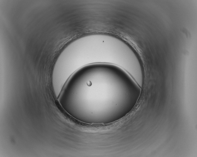 X0000113160017200909181820