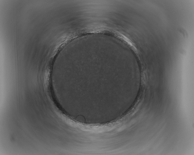 X0000113160018200909181820