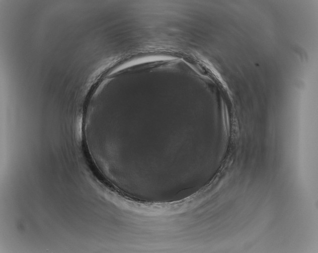 X0000113160019200909181820