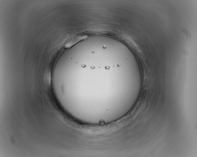 X0000113160021200909181820