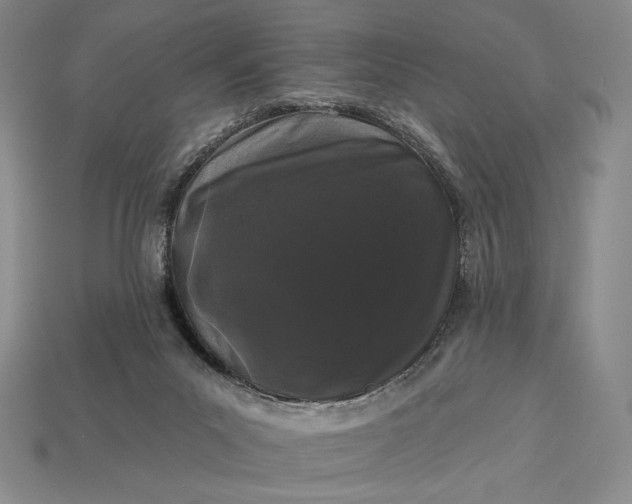 X0000113160023200909181820