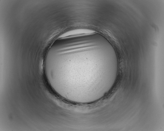 X0000113160024200909181820