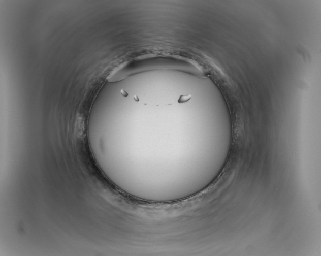 X0000113160025200909181820