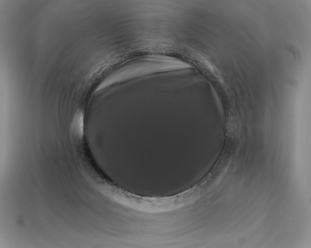 X0000113160027200909181820