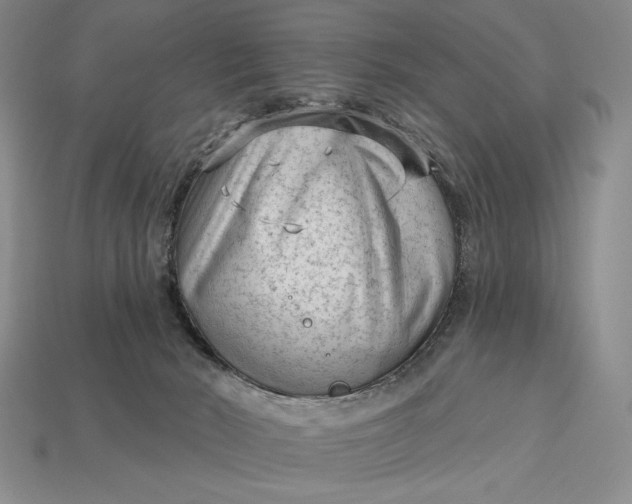 X0000113160030200909181820