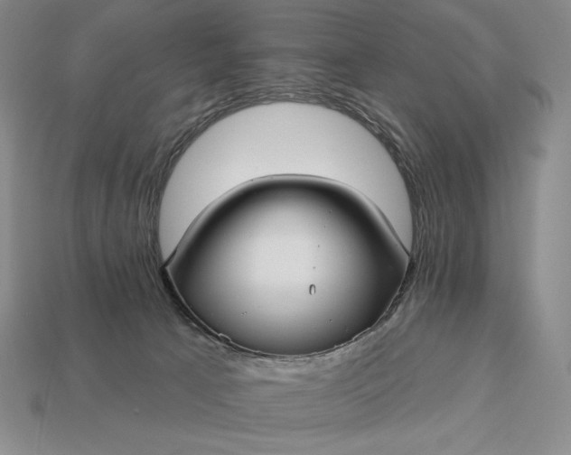 X0000113160033200909181820