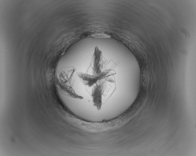 X0000113160034200909181820