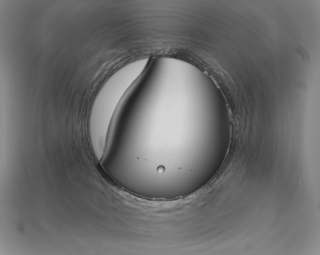 X0000113160035200909181820