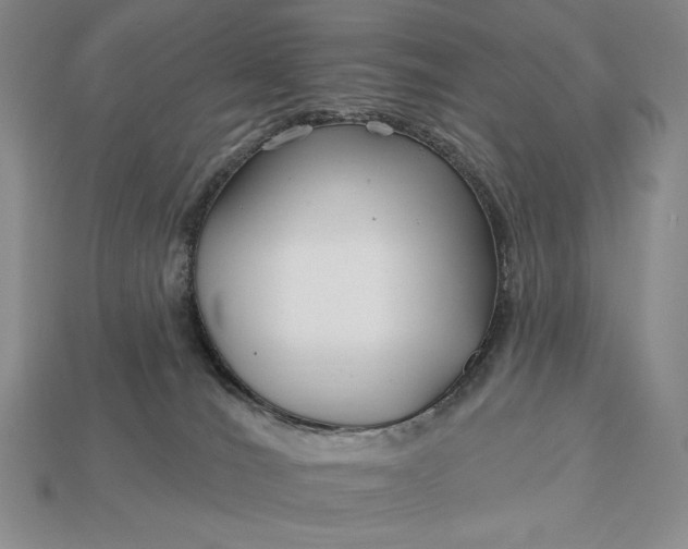 X0000113160036200909181820