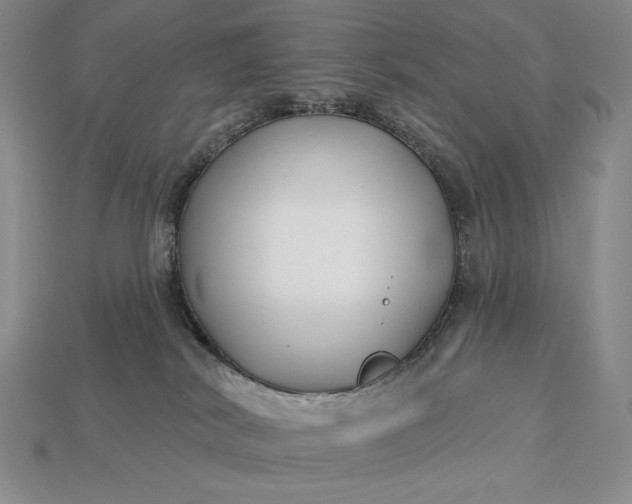 X0000113160038200909181820