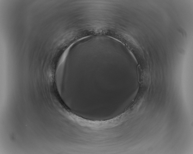 X0000113160039200909181820