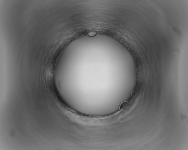 X0000113160040200909181820