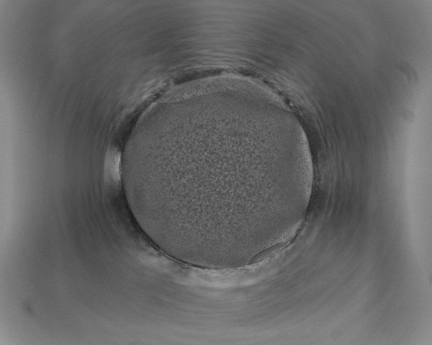 X0000113160041200909181820