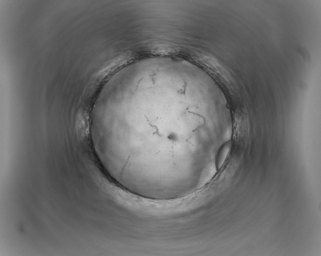 X0000113160043200909181820