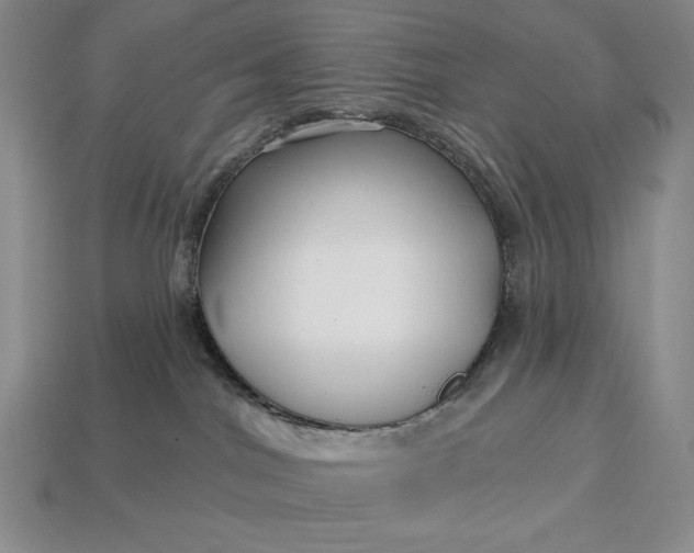 X0000113160044200909181820